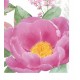 Pacote Com 20 Guardanapos De Papel 33x33cm Rose Fantasy Napkin
